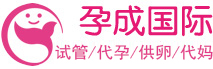 孕成国际