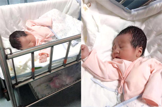 ��ϲ��̥���裬����ϲ��6��8����С˧��