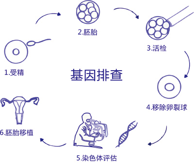 �Ա�ɸѡ-̥���Ա����