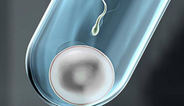 ����˹�����Թ�Ӥ�������ʵ���ñ���������