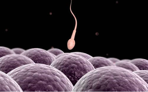 �����Բ�����õ�ѡ����ǹ������й����Թ�Ӥ��