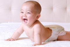 ����ڹ��������ڼ��̥��������