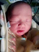 恭喜武汉W先生喜得贵子,小公子来到您的身边