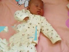 ���������£�35��ȡ����ֲһ�γɹ�