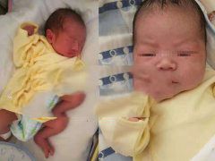 �������������޳���������ϲҶŮʿ