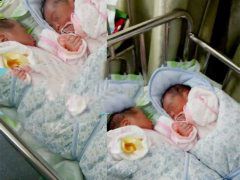 �гɹ��ʹ������а���������һ�ҳɹ�Բ��˫��̥�б���