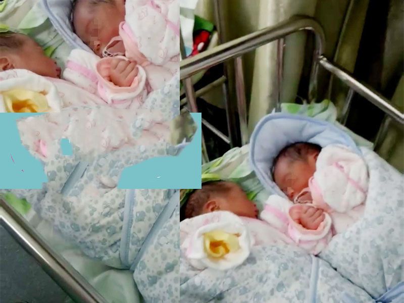 �гɹ��ʹ������а���������һ�ҳɹ�Բ��˫��̥�б���