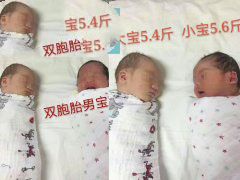 ����ճ�����ӹ�����������Թ�ʧ�ܣ�ѡ��������гɹ�����