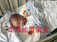 ����������Ů���������ܶ�������̥��������