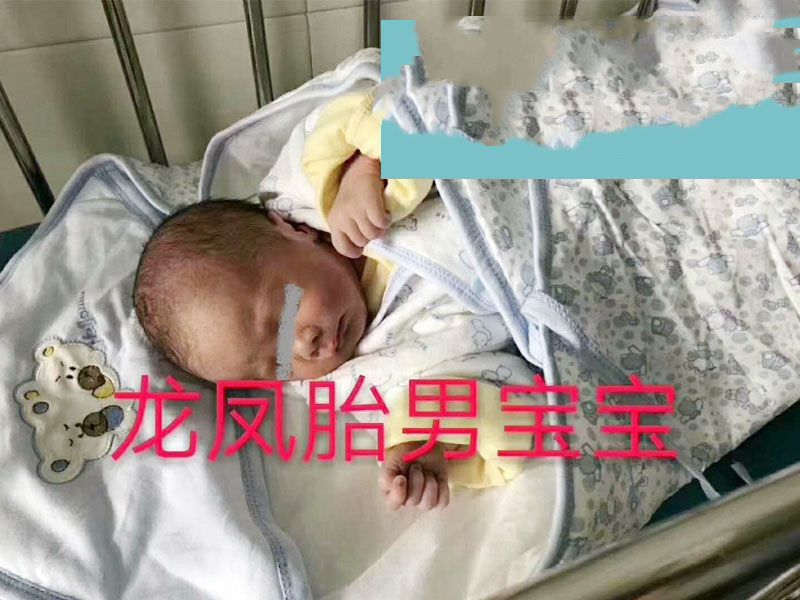 ����������Ů���������ܶ�������̥��������