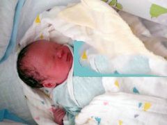 ���ɹ�������ײͣ�������ֲ��7��7��С����˳������