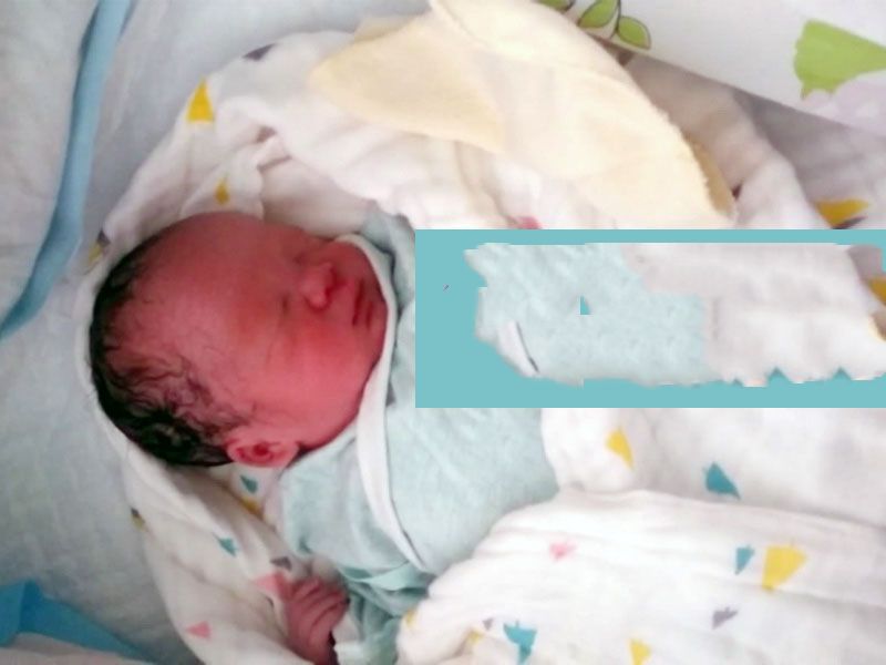 ���ɹ�������ײͣ�������ֲ��7��7��С����˳������