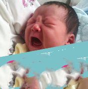 爱的延续,孕成国际的使命