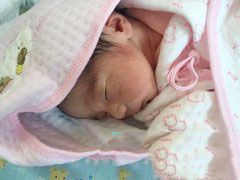 抱个胖宝宝,事业家庭两得意