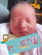 �гɹ���С���Ӽݵ�