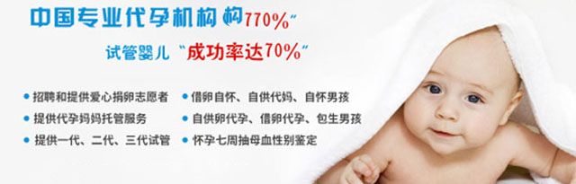 �гɹ��ʹ������У����乩���Թ���Ҫ�˽�ʲô����