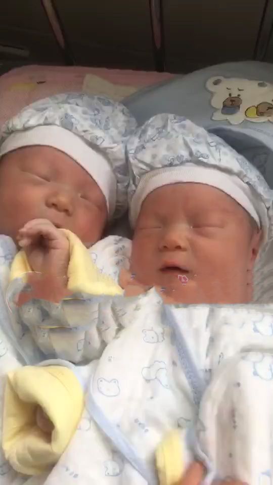 ��ϲ�����������гɹ��ʶ��Ƶ�����̥˳������