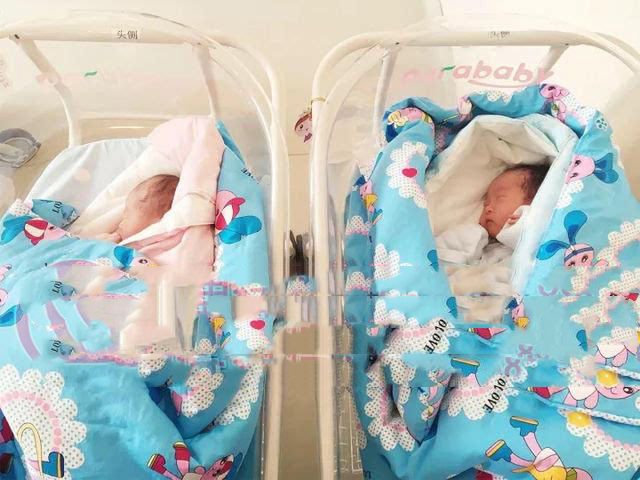 ��ϲ���ݵ�����������Ůʿ��ѡ��˫��̥���Ӱ��ɹ��ײ�