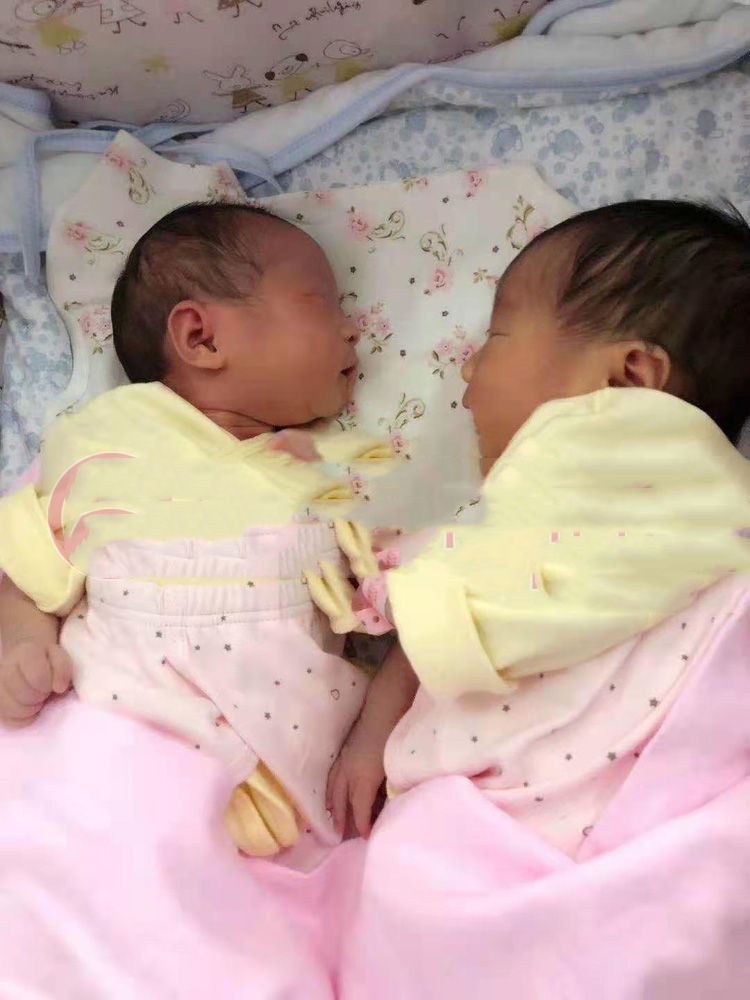 ��ϲ��Ůʿ����һ�Խ����ɰ�������̥�����ɹ�����Բ�����