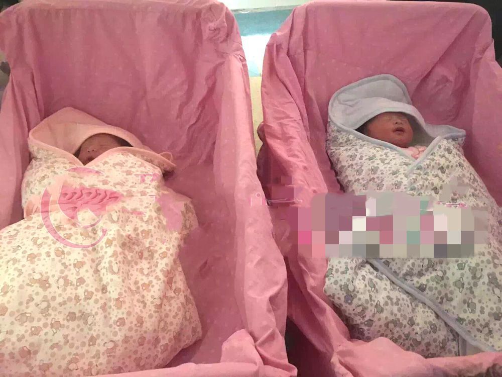 ��ϲ��������ɹ�˳����һ������̥