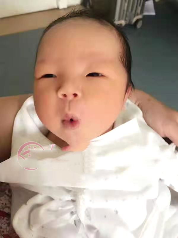 �гɹ��ʣ��ѳ���˥��������������˳������