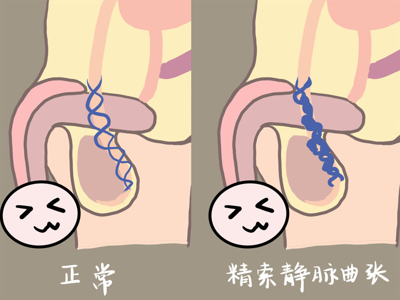 �Ϲ��ض��پ����гɹ�����������˫��̥������