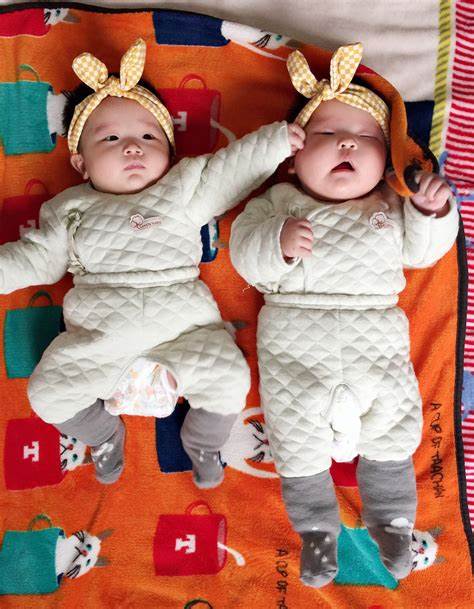 �Ϲ��ض��پ����гɹ�����������˫��̥������