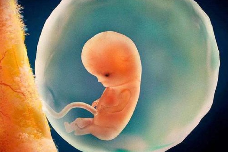 �����Թ�Ӥ�����Ʒ����Ƕ��٣�