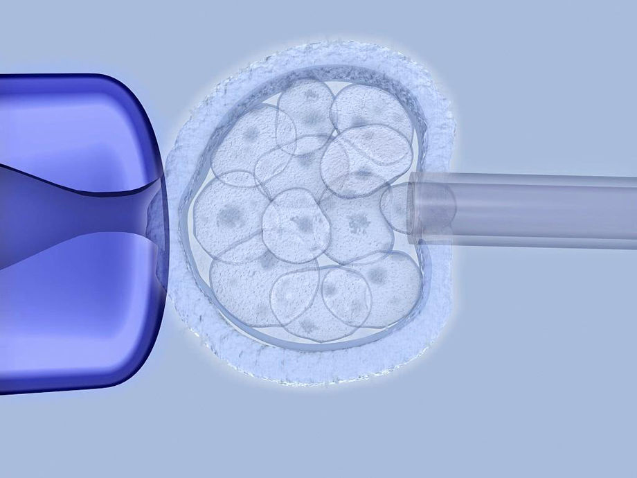 �����гɹ��ʹ����Թܻ�������Щ����