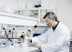 �гɹ��ʹ������У�̩�����Ѽ۸���٣�