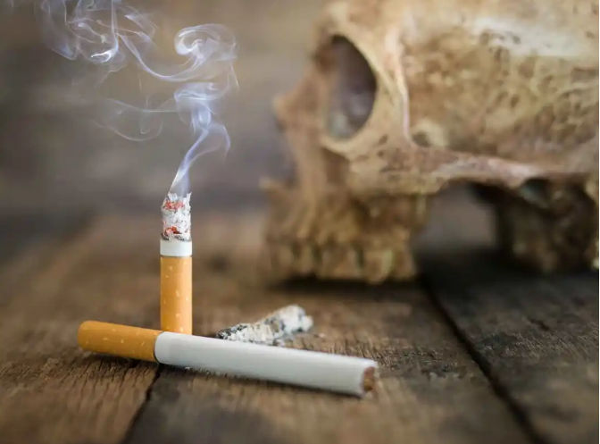 �����������Թ�Ӥ��ǰ����Щ��Ҫ��ǰ׼���ã�