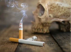 �����������Թ�Ӥ��ǰ����Щ��Ҫ��ǰ׼���ã�